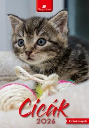 Naptár, fali, DAYLINER, "Cicák"